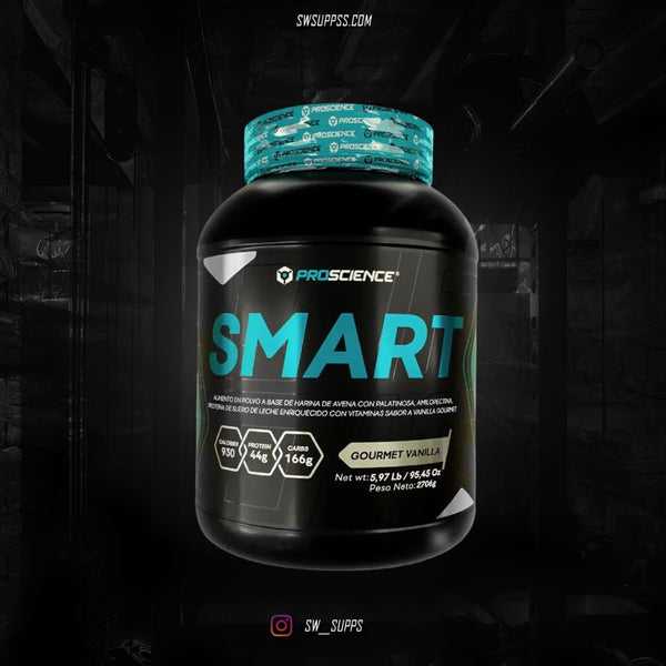 SMART GAINER 6 LB - SWSUPPS