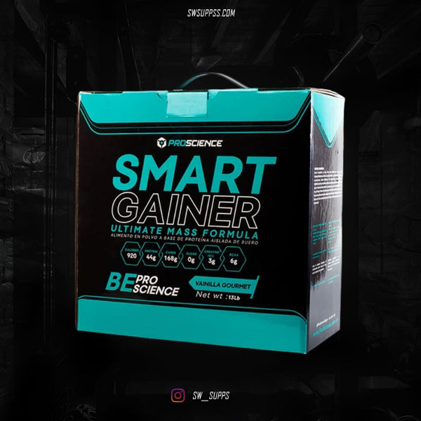 SMART GAINER 13 LB - SWSUPPS