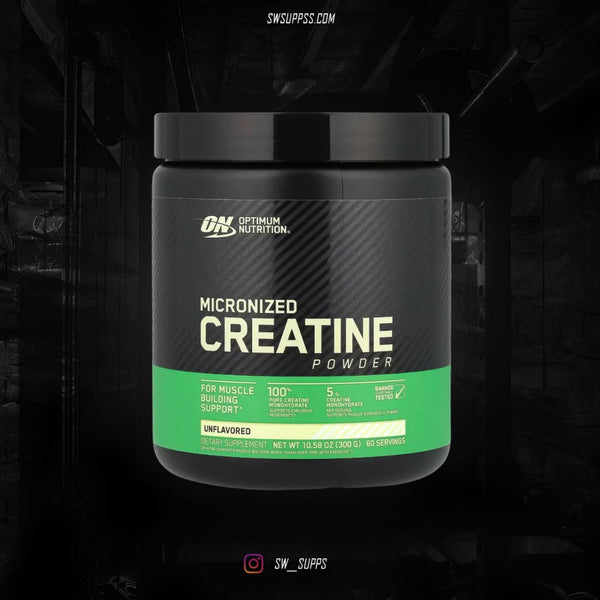 OPTIMUM NUTRITION 60 SERV