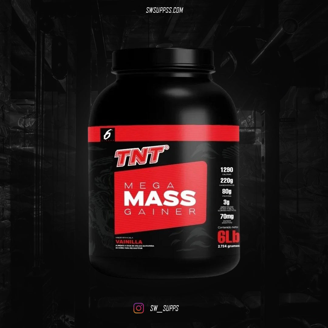 TNT MEGA MASS GAINER 6 LB